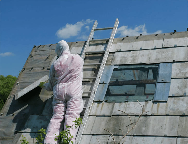 Asbestos Management Plans